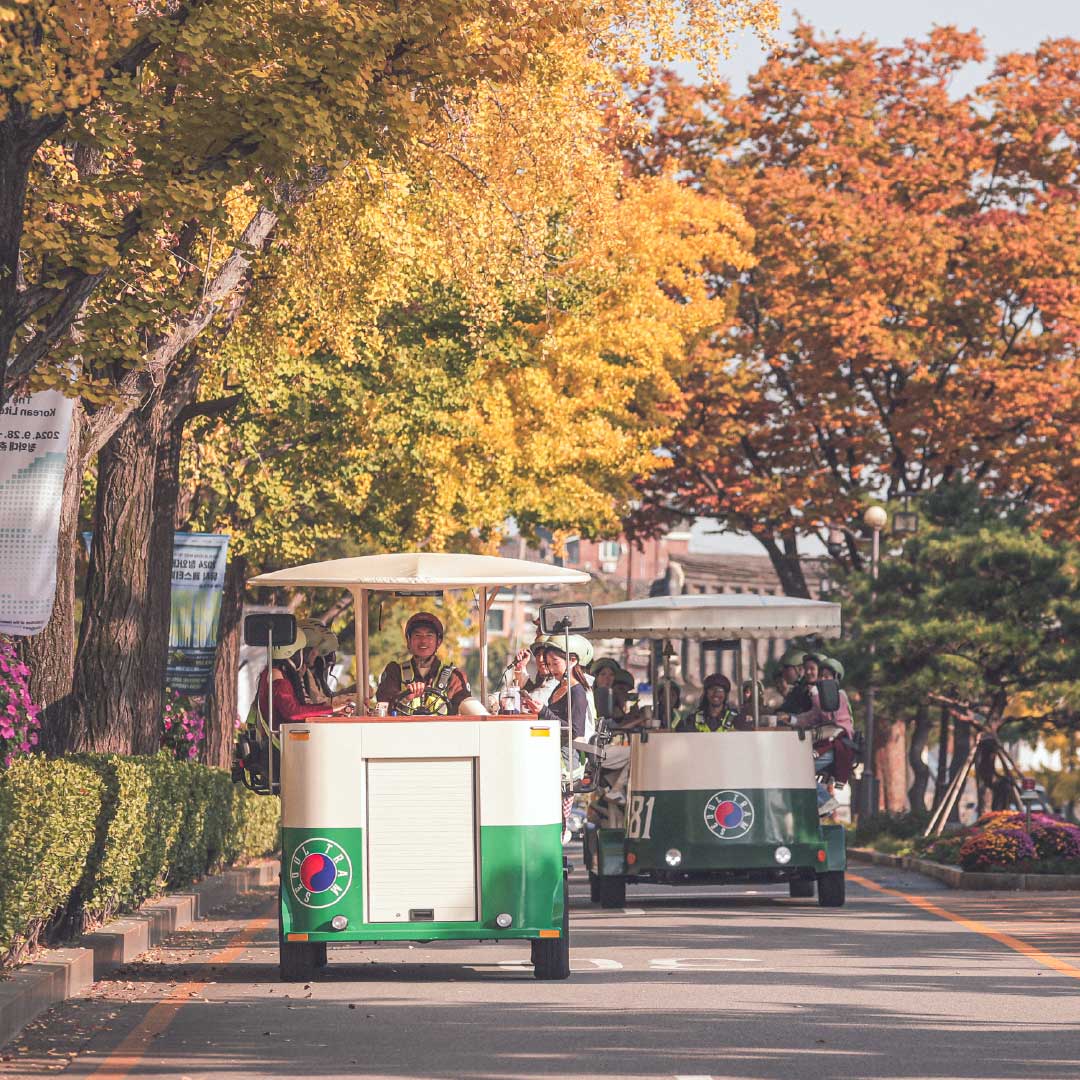 People riding retro-style pedal-powered trams under golden ginkgo and maple trees in Seoul. 在首尔金黄银杏和枫叶树下，游客乘坐复古脚踏电车。