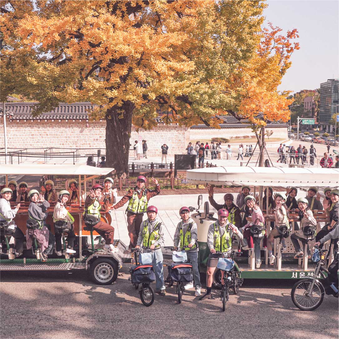 Group photo of tourists and guides on the Seoul Tram and bikes under autumn leaves 游客与导游在银杏树下乘坐首尔电车与自行车的合影