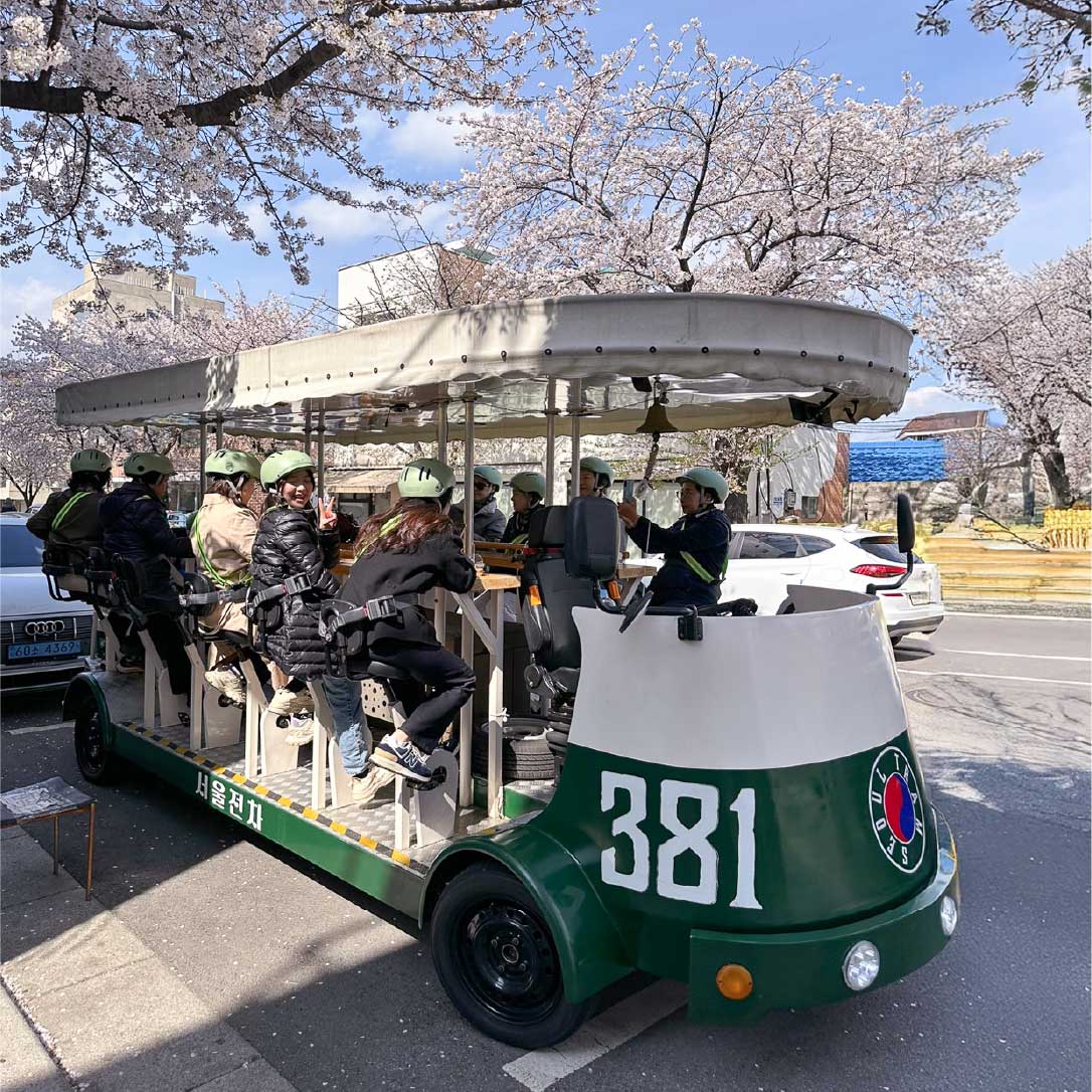 Tourists riding Seoul Tram 381 surrounded by cherry blossoms during spring in Seoul. 游客乘坐381号首尔电车，在春天的樱花街道中行驶。