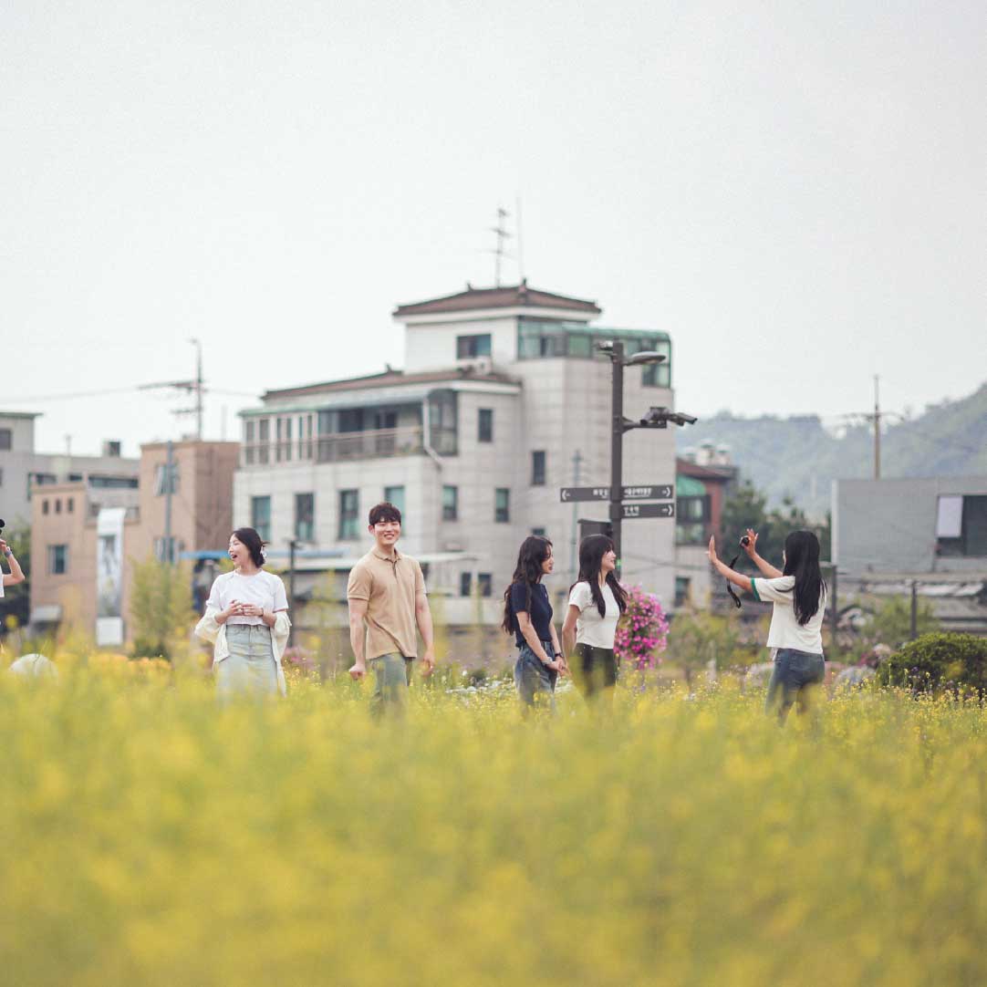 Tourists taking photos and enjoying flowers during a stop on the Seoul Tram summer route 游客在首尔电车夏季路线中停留拍照、欣赏花海